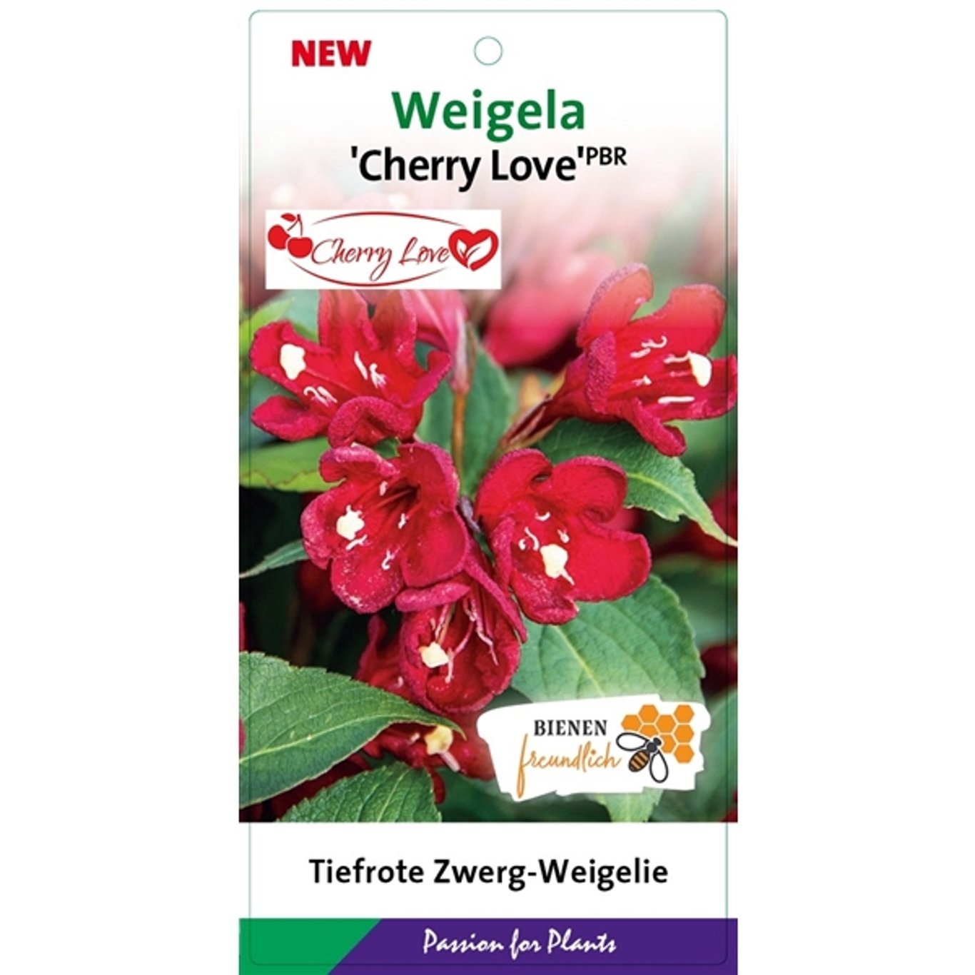 Weigela 'Cherry Love' - C3 25-30 CM